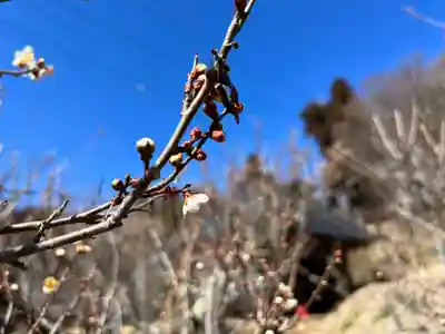 国宝 大法寺(長野県)