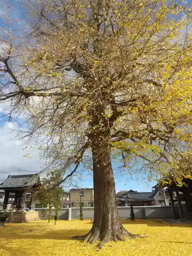 普門寺(栃木県)