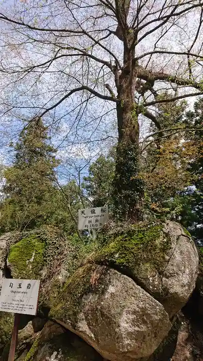 石都々古和気神社の自然