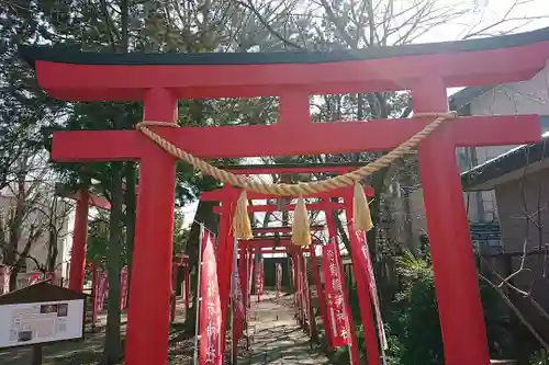 於菊稲荷神社の鳥居