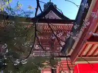 津島神社のその他建物