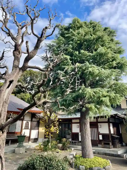 蓮勝寺の{uncategorized: "未分類", other: "その他", undefined: "問題あり", building: "その他建物", grave: "お墓", sacred_gate: "鳥居", guardian: "狛犬", statue: "像", buddha: "仏像", history: "歴史", nature: "自然", garden: "庭園", animal: "動物", pagoda: "塔", temizu: "手水舎", mountain_gate: "山門・神門", sanctuary: "本殿・本堂", subordinate: "末社・摂社", art: "芸術", scenery: "景色", jizo: "地蔵", ema: "絵馬", goshuin: "御朱印", omikuji: "おみくじ", items: "授与品その他", amulet: "お守り", goshuincho: "御朱印帳", eats: "食事", festival: "お祭り", votive_dance: "神楽", shichigosan: "七五三参", wedding: "結婚式", experience: "体験その他", initially: "初詣", around: "周辺", anti_infection: "感染症対策"}