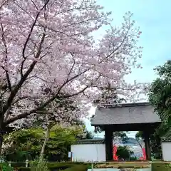 宝林寺の自然