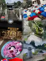 柳谷観音 楊谷寺(京都府)