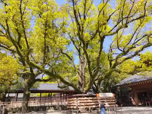 熱田神宮の建物その他