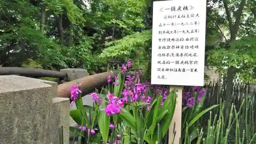 晴明神社の庭園