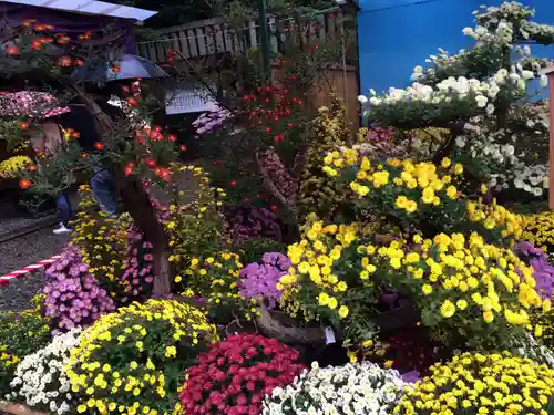 彌彦神社の芸術