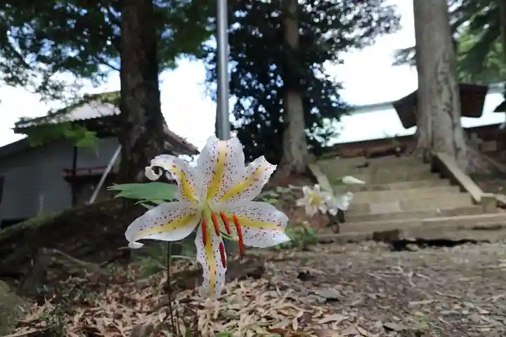高松神社の景色