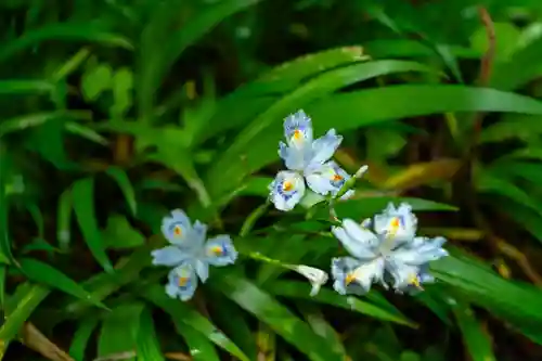 戸隠神社宝光社(長野県)
