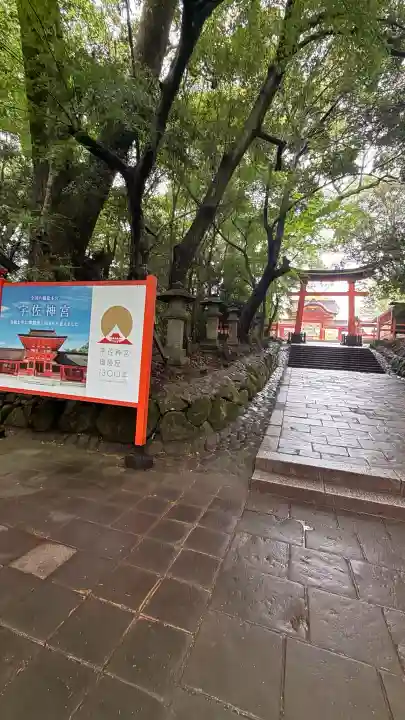 宇佐神宮(大分県)