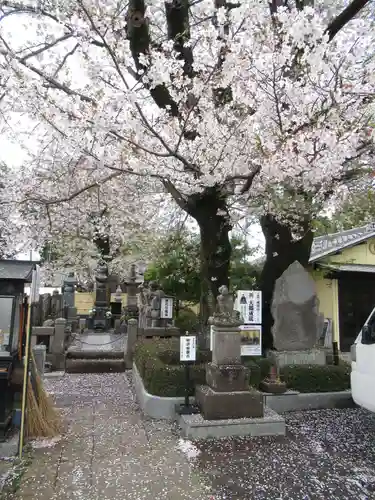 真光寺(千葉県)