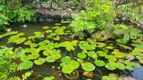 惣河内神社(愛媛県)