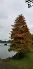 香取神社の自然