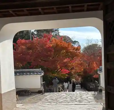 興聖寺(興聖寶林禅寺)(京都府)