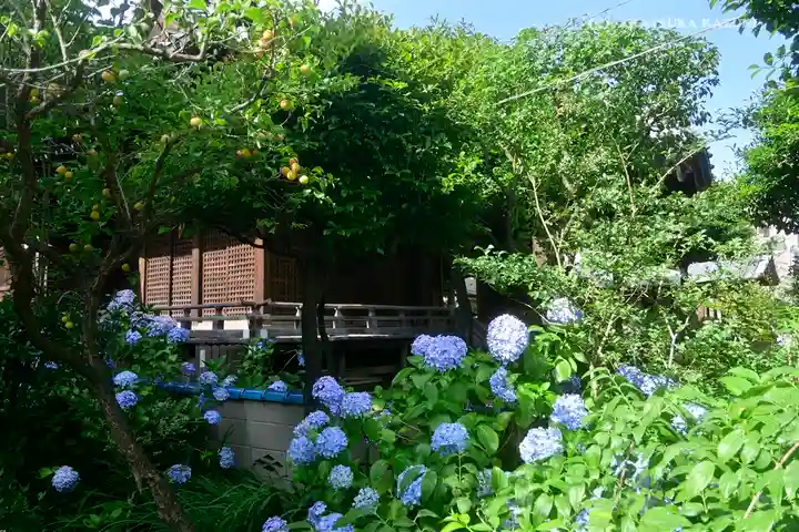 白山神社の庭園