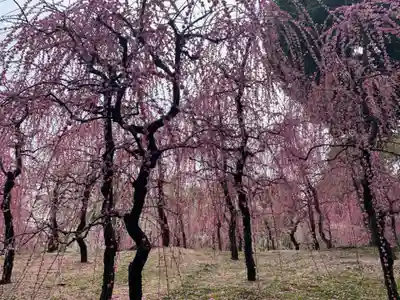 城南宮(京都府)