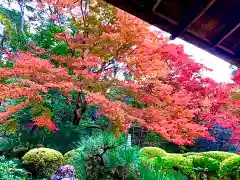 詩仙堂（丈山寺）(京都府)