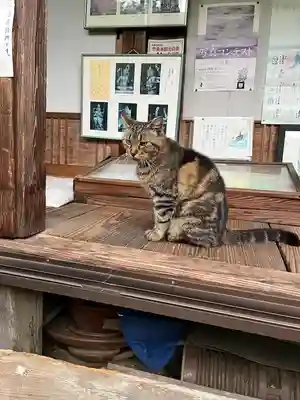 不退寺(奈良県)