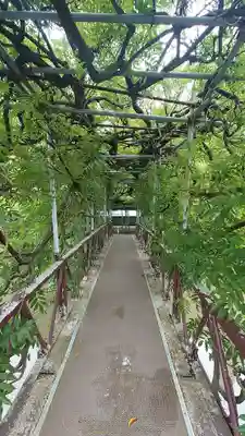 西寒多神社(大分県)