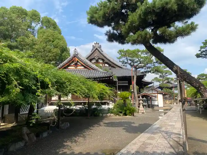 葛井寺(大阪府)