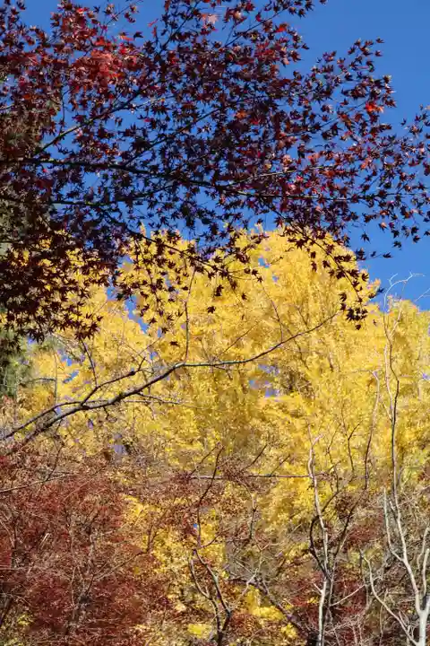 明王院(満願寺別院)の自然