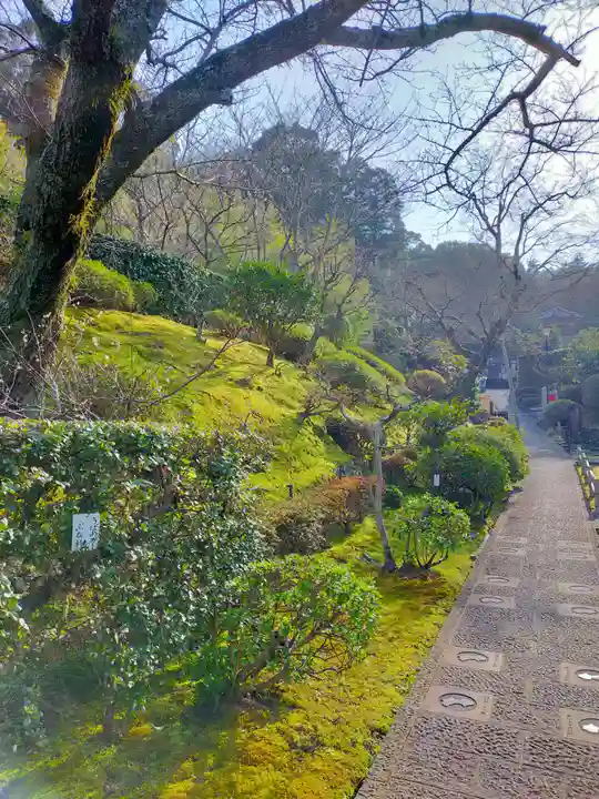 理智院(大阪府)