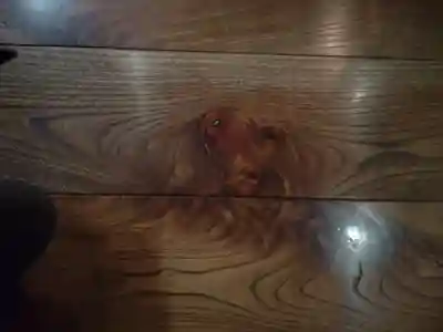 松尾観音寺(三重県)