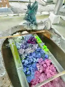 立志神社(滋賀県)(2023年06月15日(木) 11時17分11秒投稿)