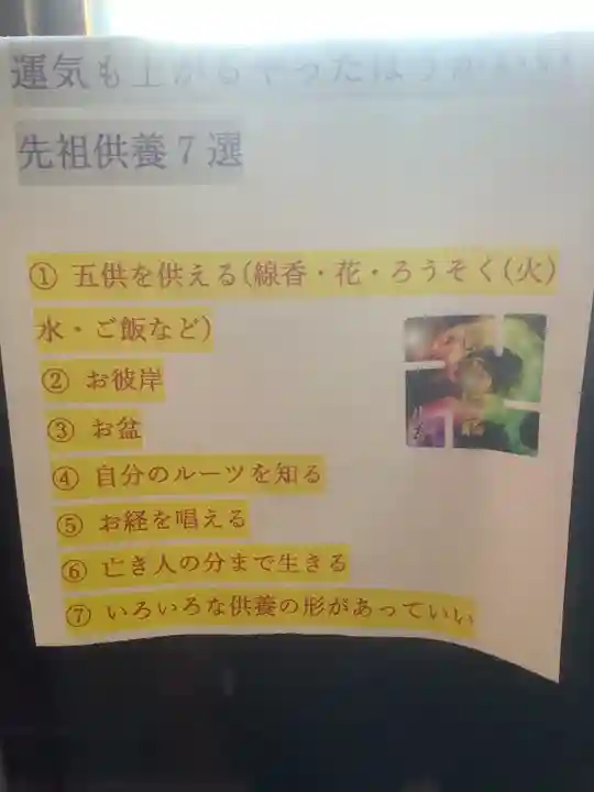 四季桜の寺 妙乗院(愛知県)