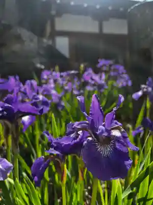 松本山 地福禅寺(滋賀県)