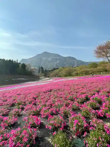 葛葉稲荷神社の景色