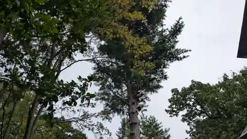 足寄神社の自然