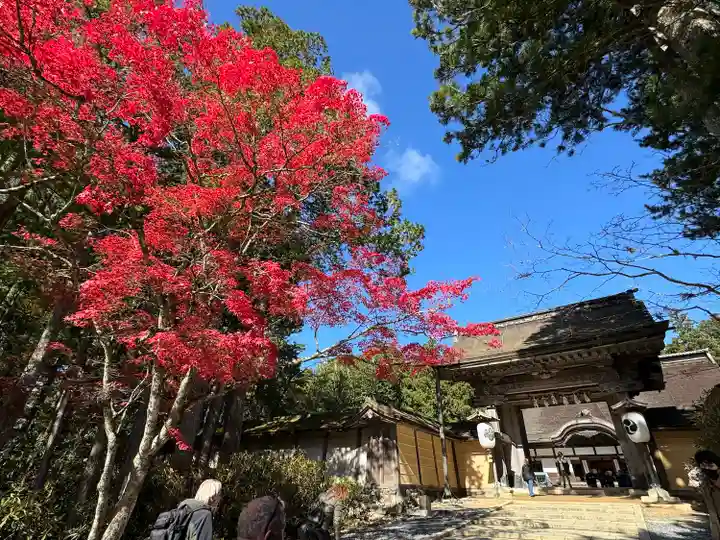 高野山金剛峯寺(和歌山県)