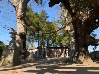 八幡神社(千葉県)