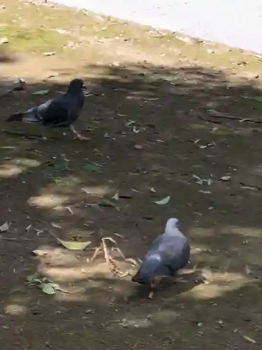 祐天寺(東京都)