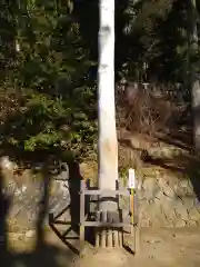 手長神社の建物その他