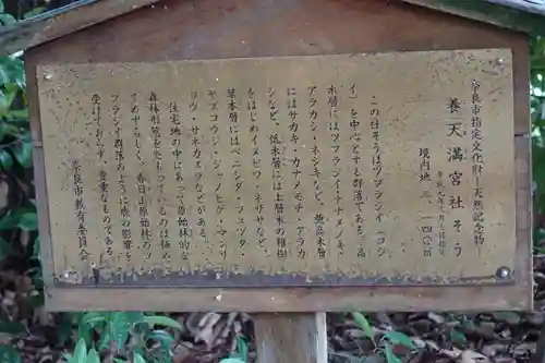 養天満宮の歴史