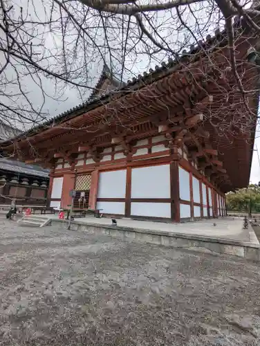 東寺（教王護国寺）(京都府)