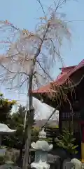 大鏑神社の自然