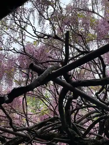 子安地蔵寺(和歌山県)