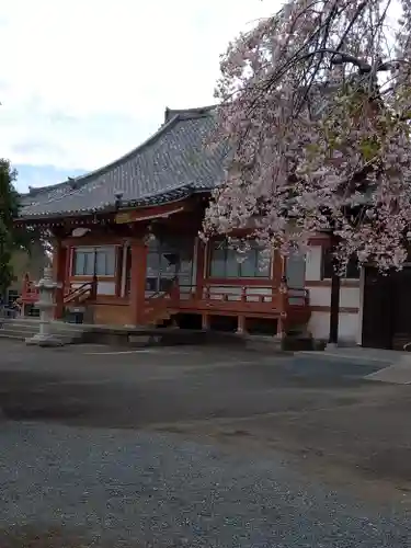高藏寺(埼玉県)