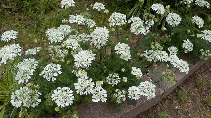 天下茶屋公園 御神木(大阪府)
