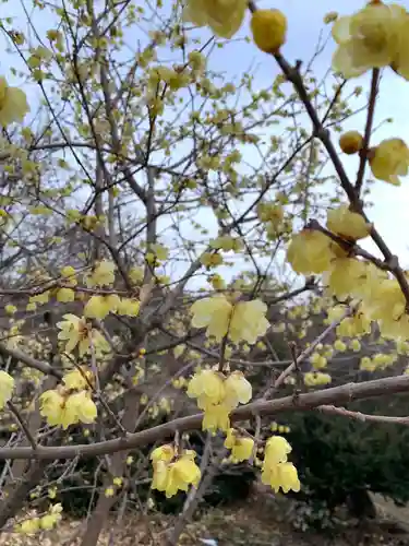 進雄神社の自然