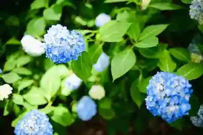 浄土寺(兵庫県)