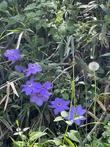 大宮温泉神社(栃木県)(2023年05月12日(金) 07時35分48秒投稿)