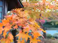 南湖神社の自然