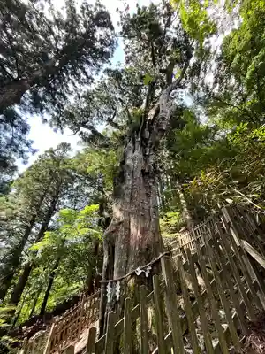 玉置神社(奈良県)