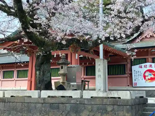 富士山本宮浅間大社の{uncategorized: "未分類", other: "その他", undefined: "問題あり", building: "その他建物", grave: "お墓", sacred_gate: "鳥居", guardian: "狛犬", statue: "像", buddha: "仏像", history: "歴史", nature: "自然", garden: "庭園", animal: "動物", pagoda: "塔", temizu: "手水舎", mountain_gate: "山門・神門", sanctuary: "本殿・本堂", subordinate: "末社・摂社", art: "芸術", scenery: "景色", jizo: "地蔵", ema: "絵馬", goshuin: "御朱印", omikuji: "おみくじ", items: "授与品その他", amulet: "お守り", goshuincho: "御朱印帳", eats: "食事", festival: "お祭り", votive_dance: "神楽", shichigosan: "七五三参", wedding: "結婚式", experience: "体験その他", initially: "初詣", around: "周辺", anti_infection: "感染症対策"}