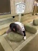 猿田神社の{uncategorized: "未分類", other: "その他", undefined: "問題あり", building: "その他建物", grave: "お墓", sacred_gate: "鳥居", guardian: "狛犬", statue: "像", buddha: "仏像", history: "歴史", nature: "自然", garden: "庭園", animal: "動物", pagoda: "塔", temizu: "手水舎", mountain_gate: "山門・神門", sanctuary: "本殿・本堂", subordinate: "末社・摂社", art: "芸術", scenery: "景色", jizo: "地蔵", ema: "絵馬", goshuin: "御朱印", omikuji: "おみくじ", items: "授与品その他", amulet: "お守り", goshuincho: "御朱印帳", eats: "食事", festival: "お祭り", votive_dance: "神楽", shichigosan: "七五三参", wedding: "結婚式", experience: "体験その他", initially: "初詣", around: "周辺", anti_infection: "感染症対策"}