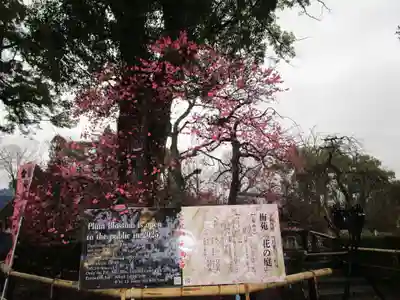 北野天満宮(京都府)